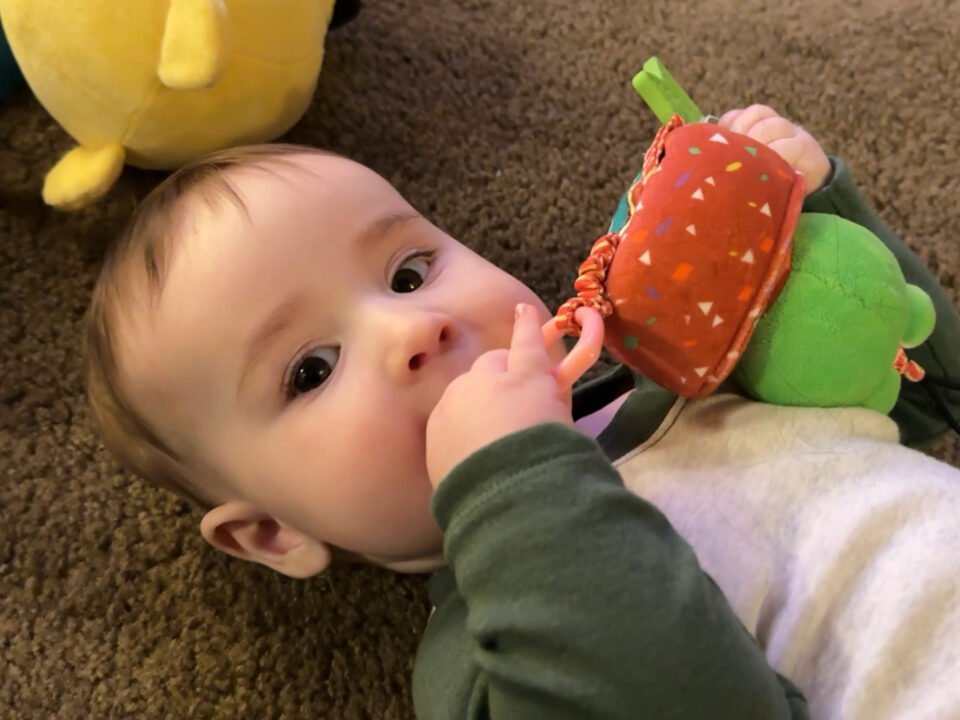 Jack on the floor, chewing on a baby toy