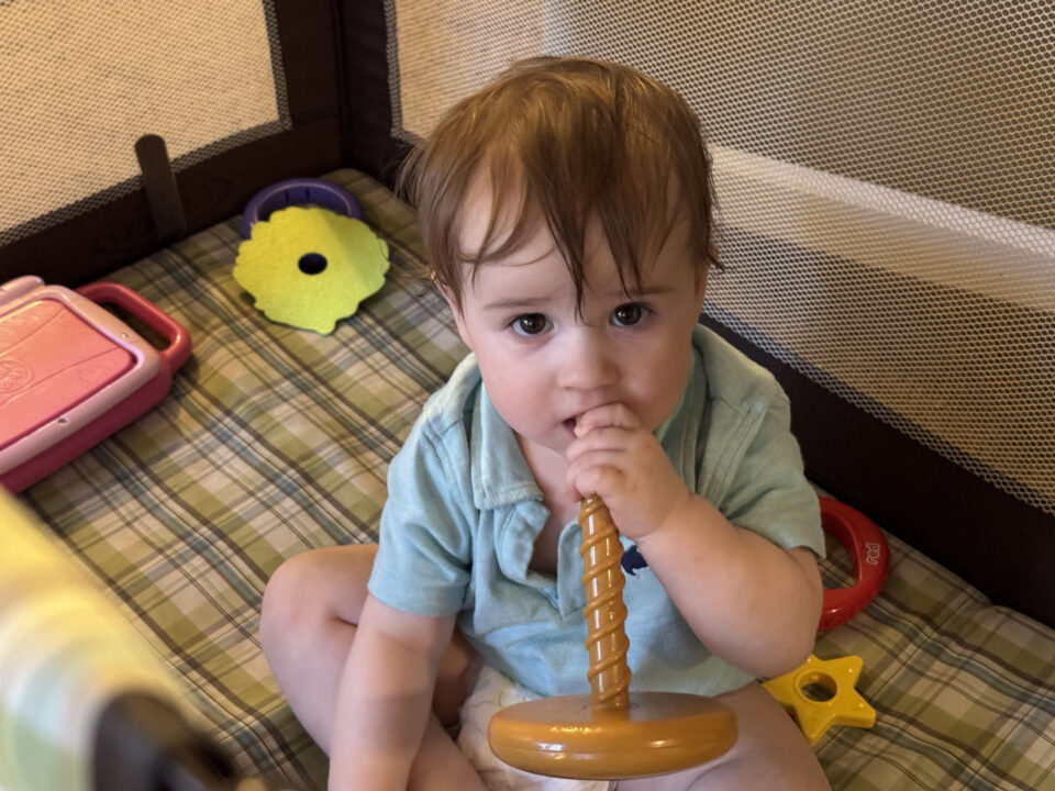 Jack chewing a toy in the play pen
