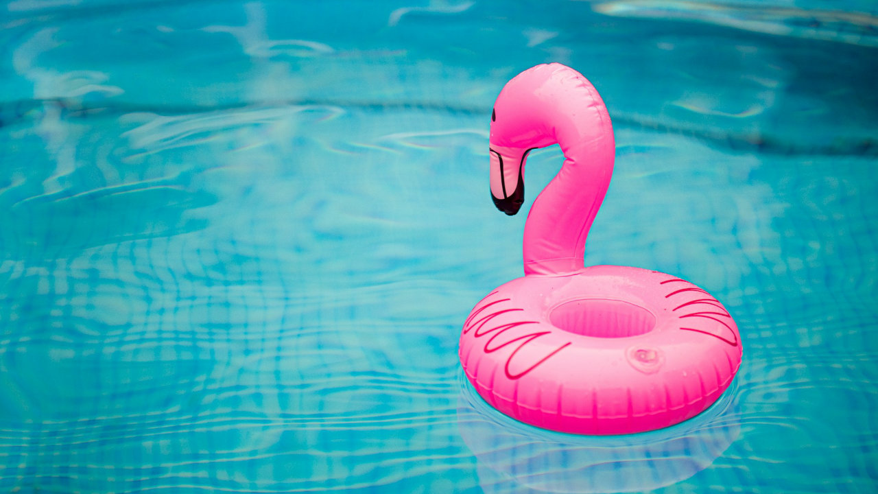 Inflatable flamingo floating in a pool